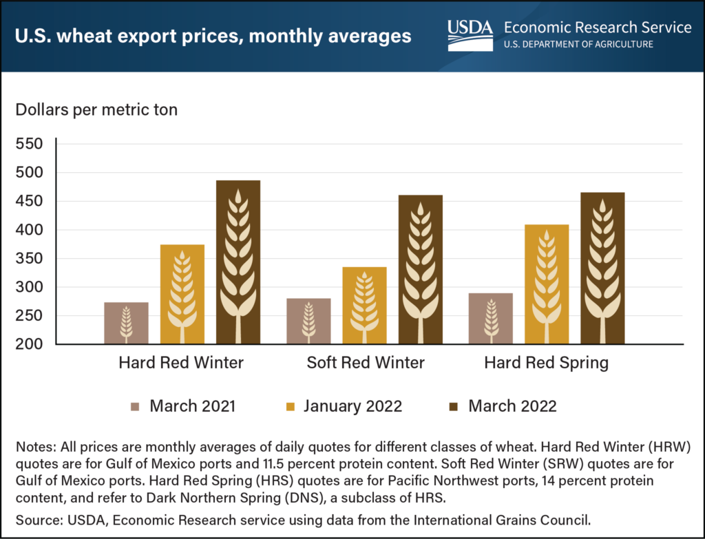 Wheat Price Spike